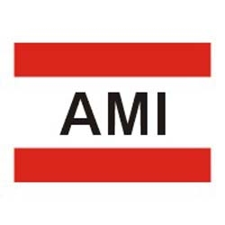 AMI MIDDLE EAST LLC